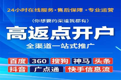 百度竞价排名策略解析：一家公司的广告投放策略全揭秘